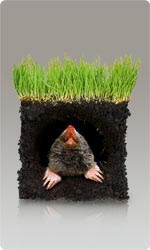 Сетка от кротов