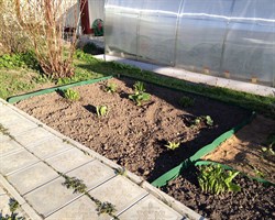 Лента бордюрная садовая Б-30 хаки 30 см х 30 м - фото 18878