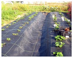 Агроткань застилочная от сорняков фасованная, плотность 100 гр/м2 (2,5 м х 10 м) - фото 20625