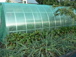 Затеняющая сетка 55% темно-зеленая 3*50 м - фото 20760