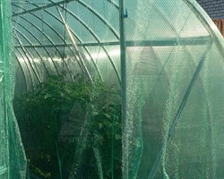 Затеняющая сетка 55% темно-зеленая 4*50 м - фото 20762