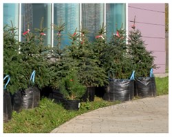 Мягкий контейнер для выращивания растений и саженцев 36х32 мм - фото 20866