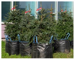 Мягкий контейнер для выращивания растений и саженцев 39х33,5 мм - фото 20869