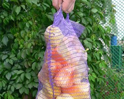 Сетка-мешок, 30х47 см - фото 20949