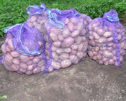 Сетка-мешок, 45х75 см - фото 20954