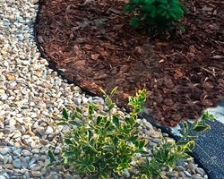 Садовый пластиковый бордюр 38 мм - фото 21009