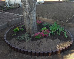 Садовое ограждение бордюр Пеньки коричневый 15 см * 1,6 м - фото 21308