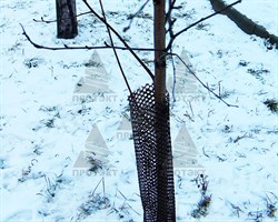 Сетка для защиты саженцев (с креплениями) Ф-7 - фото 21382