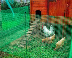 Сетка для птичников Ф-17, 10 м зеленая - фото 21407