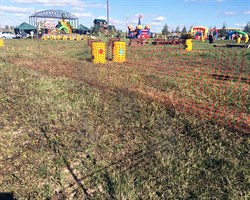 Аварийное ограждение А-95/1/50 - фото 21949