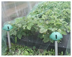 Комплект для защиты грядок с сеткой от птиц У-6, 1+4+4+6 - фото 23256