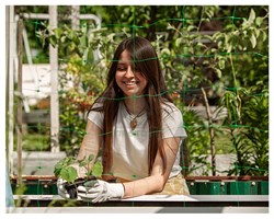 Сетка для огурцов шпалерная Ф-190 2*10 м - фото 23266