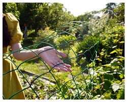 Сетка для поддержки винограда Ф-90, 1*10 м, хаки - фото 23269