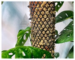 Сетка для тотема Ф-7, 0,4*1 м, черный - фото 23284